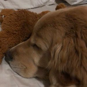 Meet your Posher, Katelyn